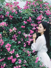 花語之謎