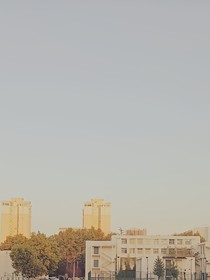 做夢(mèng)的南柯
