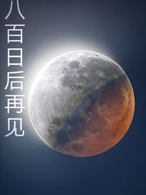 八百日后再见