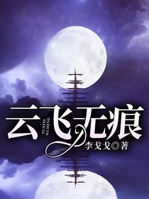 云飞无痕