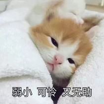 陳情令之花神
