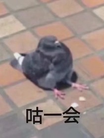 你是我的作品