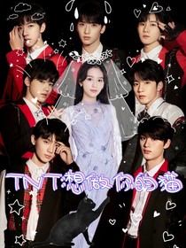 TNT：想做你的貓