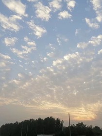 夫君請在下
