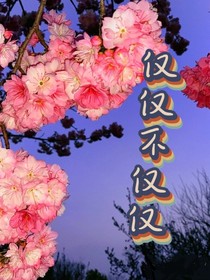 仅仅不仅仅