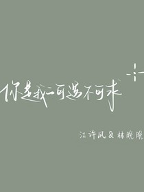 那年夏天有晚风吹过