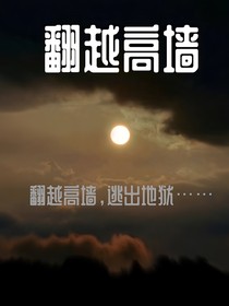 翻越高墙