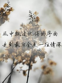 沈先生，來生不再打擾