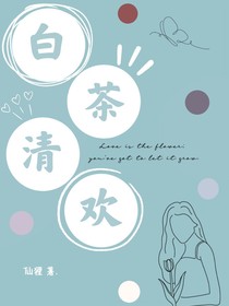 白茶與清歡