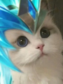 气贯全宇番外