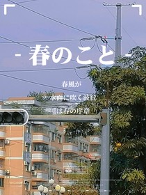 当一只猫遭遇了弃猫效应