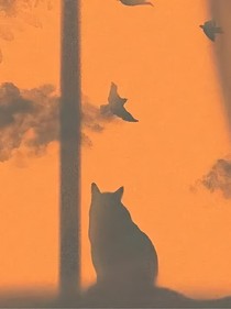 短篇校园：微弱之光