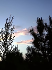 你是我的夢，只是我的夢