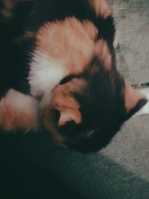 记，一点
