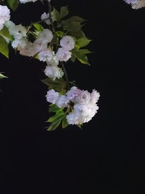 那时他与我擦肩而过