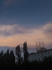 花落花叶
