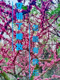穿錯(cuò)了嫁妝怎能有快樂(lè)