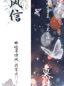魔道天官小雜糧