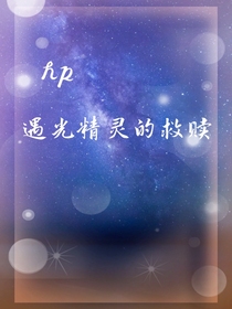 hp遇光精灵的救赎（暂停）