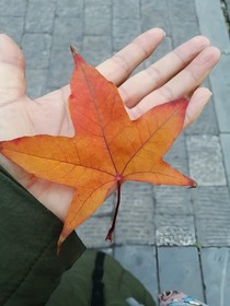 瑜舍前半生
