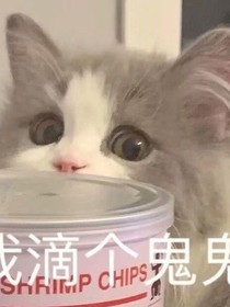 妖怪传
