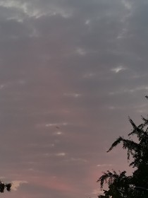 再普通不过的女配