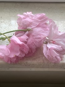 怪物大师：隐藏的角落