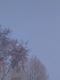 光途