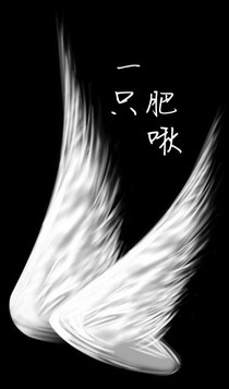 一只小肥啾