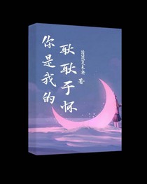 你是我的耿耿于怀