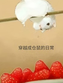 穿成仓鼠的日常生活