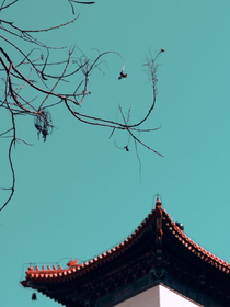 不见阴雨，只见星云