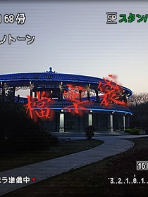 档案袋