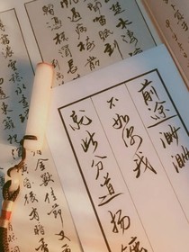 花重锦官