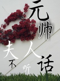 元帅夫人不听话