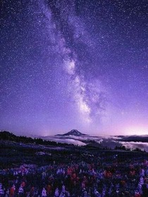 林夢(mèng)海糖的凹凸圖
