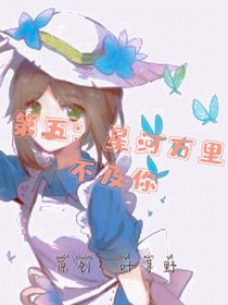 第五：星河万里不及你