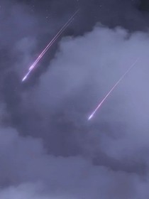 真兇