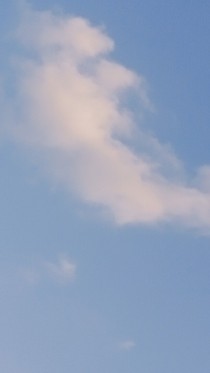 衍辭顧知衿