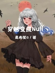 穿越变成了Null