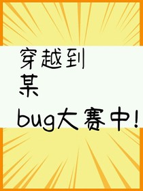 穿越到某bug大赛中！