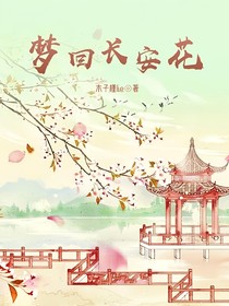 梦回长安花-d867