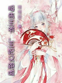 报告王爷，王妃又跑啦