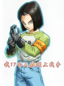 17号：人在顶上战争-d340