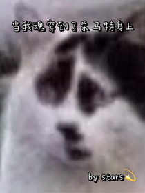 當(dāng)我我魂穿到了殺馬特身上