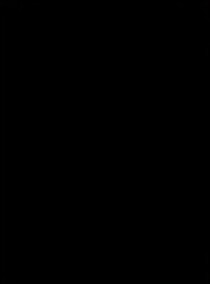 R1SE：能撩是壺