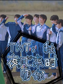 TNT：秋夜风来时见你