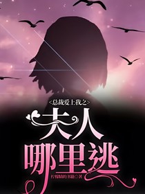 總裁愛上我之夫人哪里逃