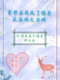穿书后我成了反派的大力娇-d304