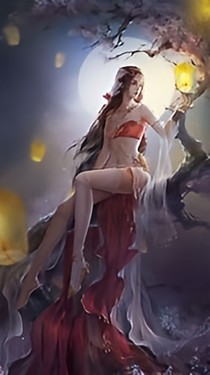 穿越美人的自我修养